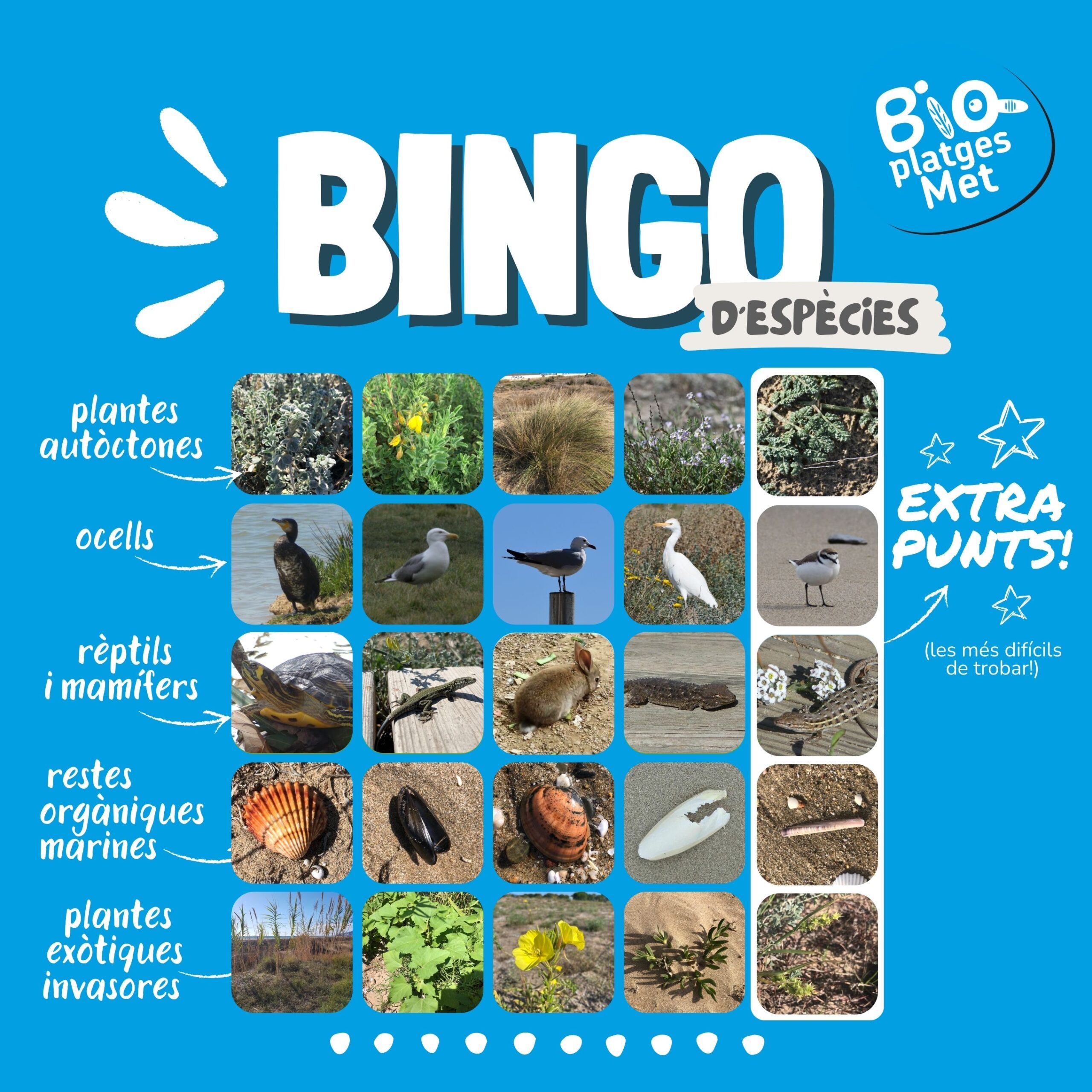 Concurs d’estiu: Bingo d’Espècies de BioPlatgesMet!